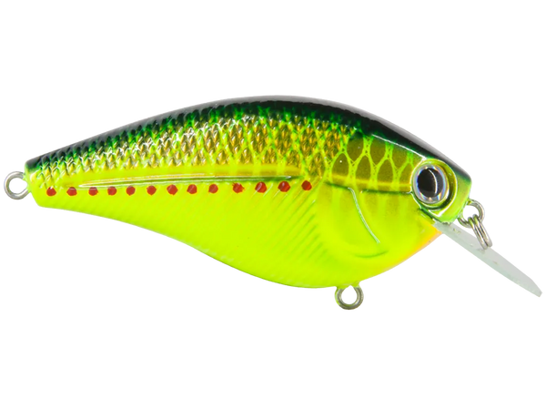 Livingston Lures Primetyme CB 2.0: Copperhead