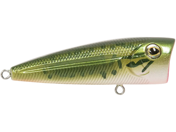 Livingston Lures Walk N Pop 67: Baby Bass
