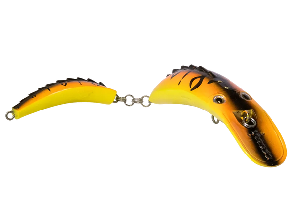 Livingston Dirty Dancer 10: Orange Tiger