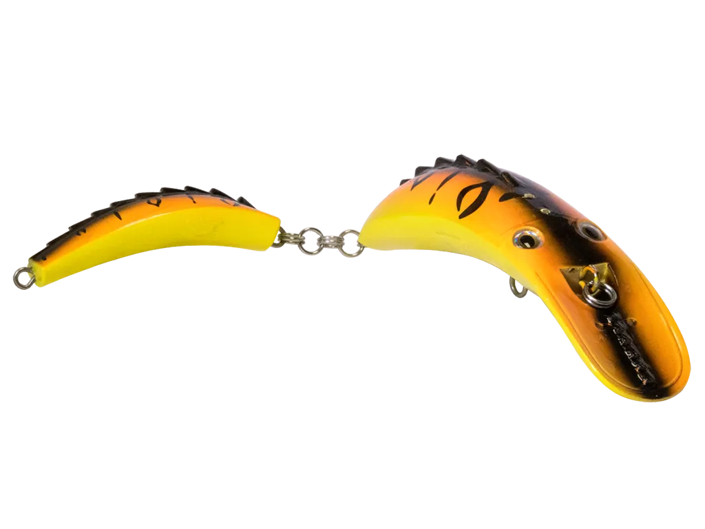 Livingston Dirty Dancer 10: Orange Tiger