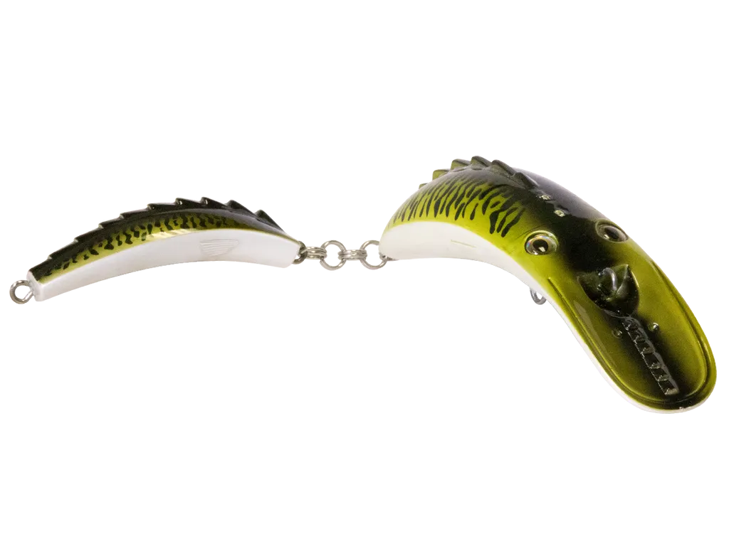 Livingston Dirty Dancer 10: Juvenile Pike