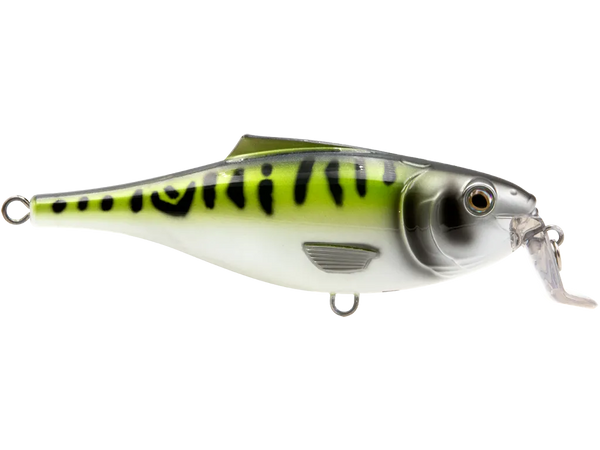 Livingston Lures BullDozer SW: Green Mackerel