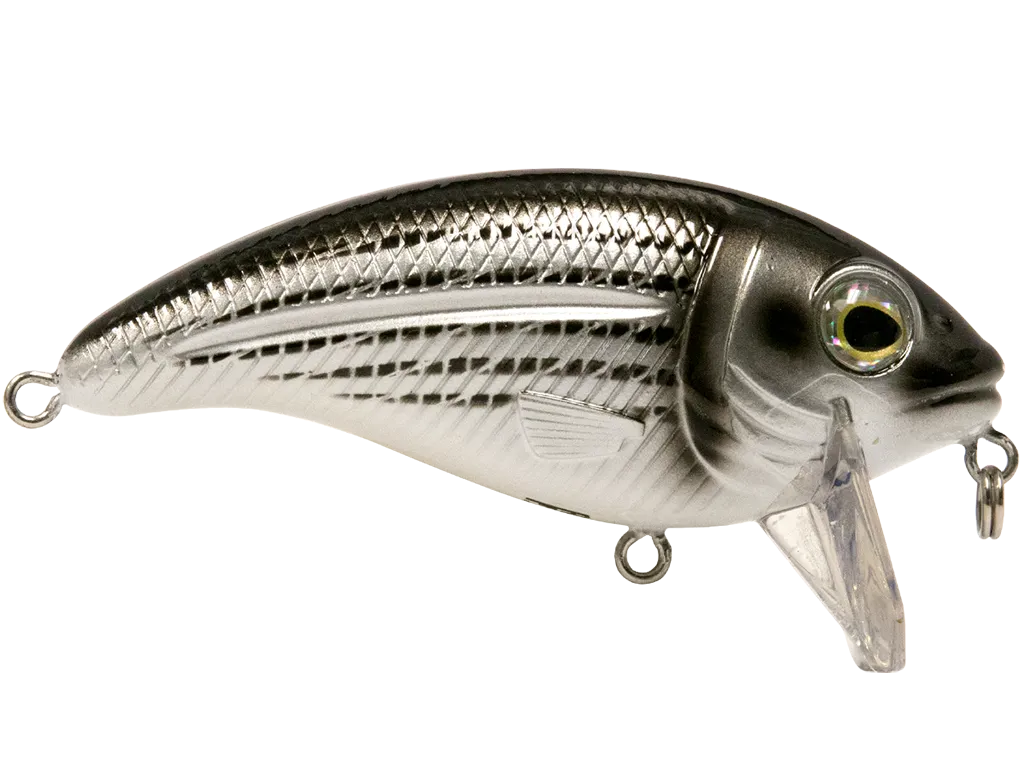 Livingston Lures Bull Nose SW: Mullet