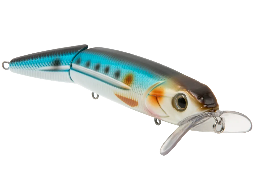Livingston Lures Walking Boss Inshore SW: Wahoo