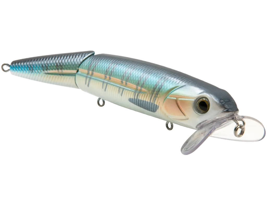 Livingston Lures Walking Boss Inshore SW: Blue Sardine