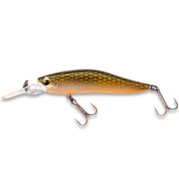 LMAB KOFI Flash Vibe 67SP: Golden Roach