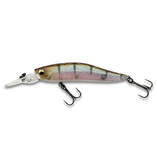 LMAB KOFI Flash Vibe 80SP: Baby Perch