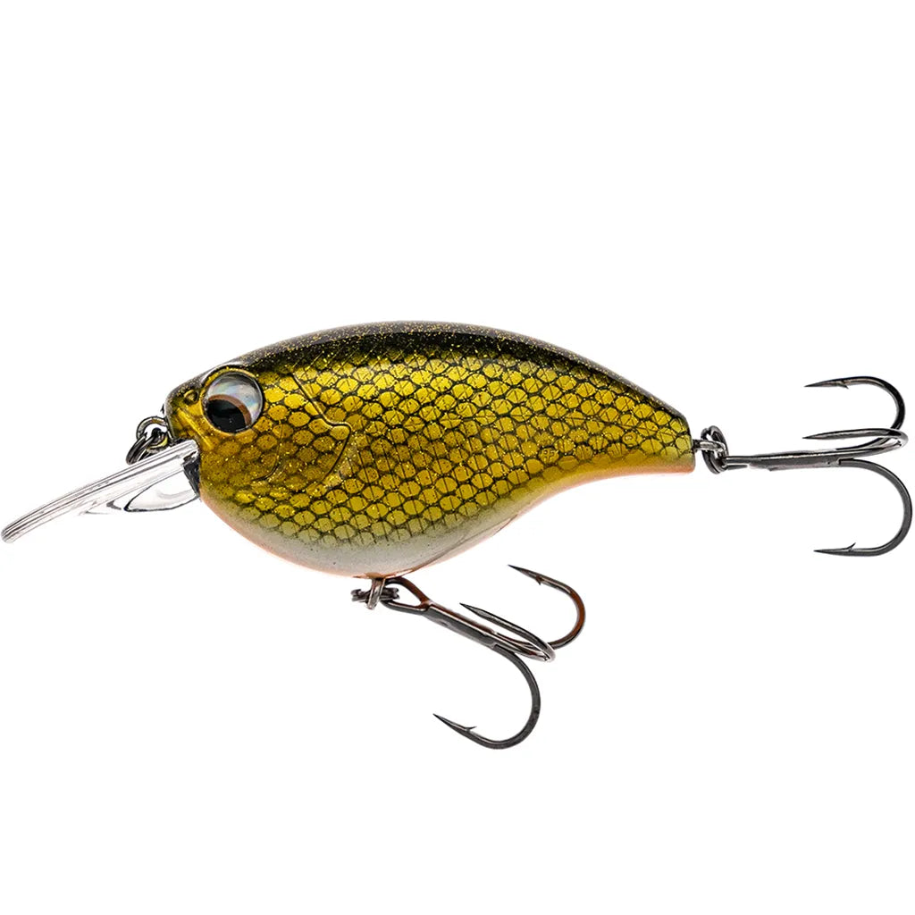 LMAB KOFI Power Vibe 55F SR: Real Roach