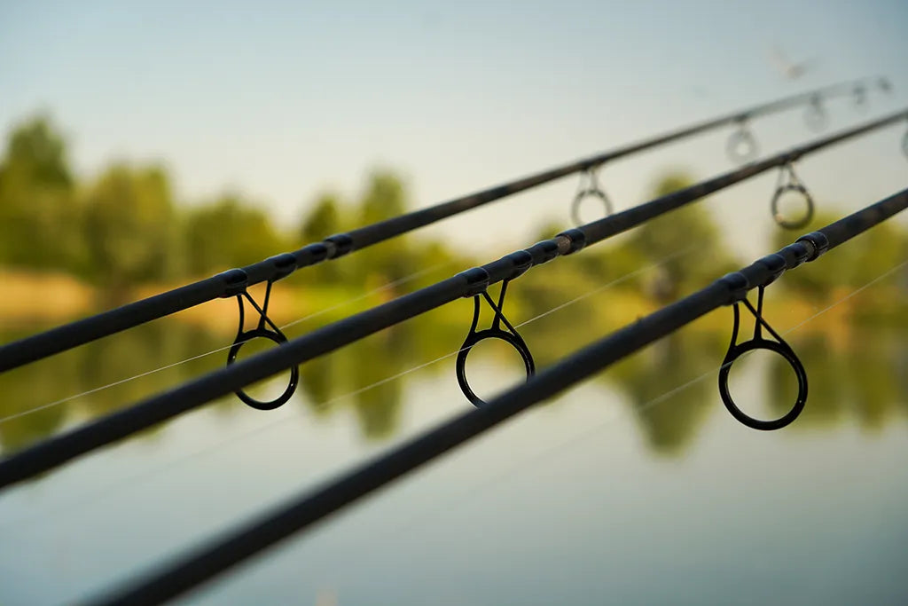 OMC Black Pearl: 10ft Carp Rod - Take Me Anywhere