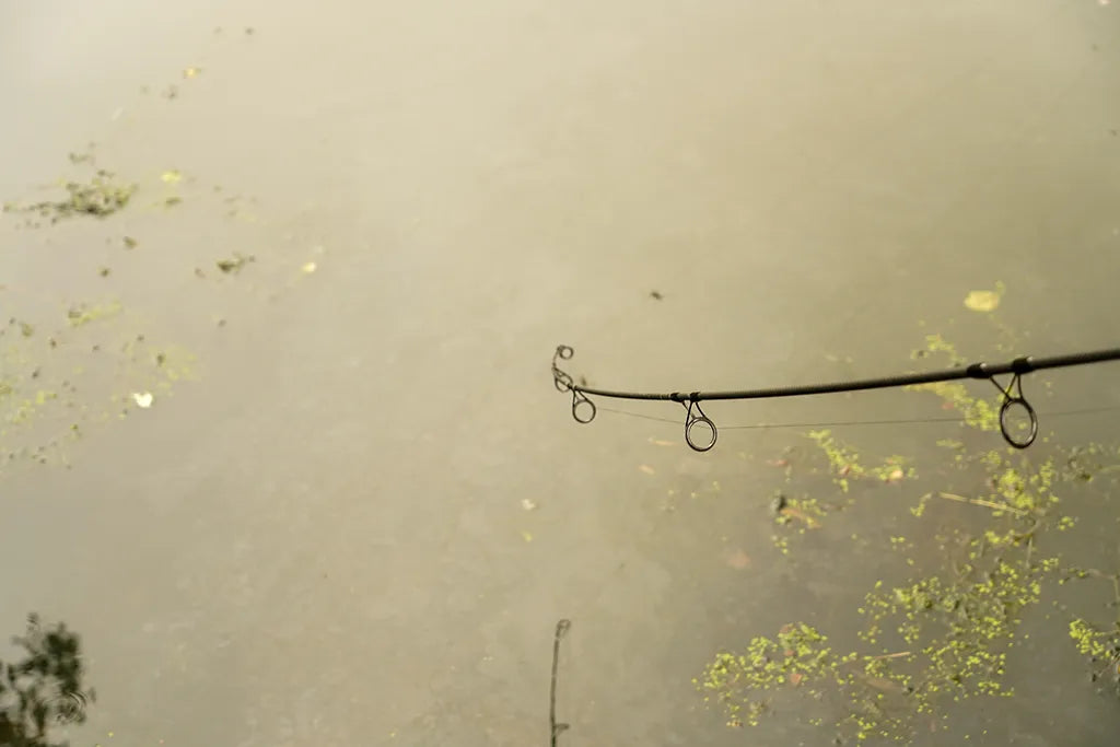 OMC Black Pearl: 10ft Carp Rod - Take Me Anywhere