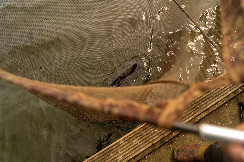 OMC Black Pearl: Landing Net 42" 2-piece Handle