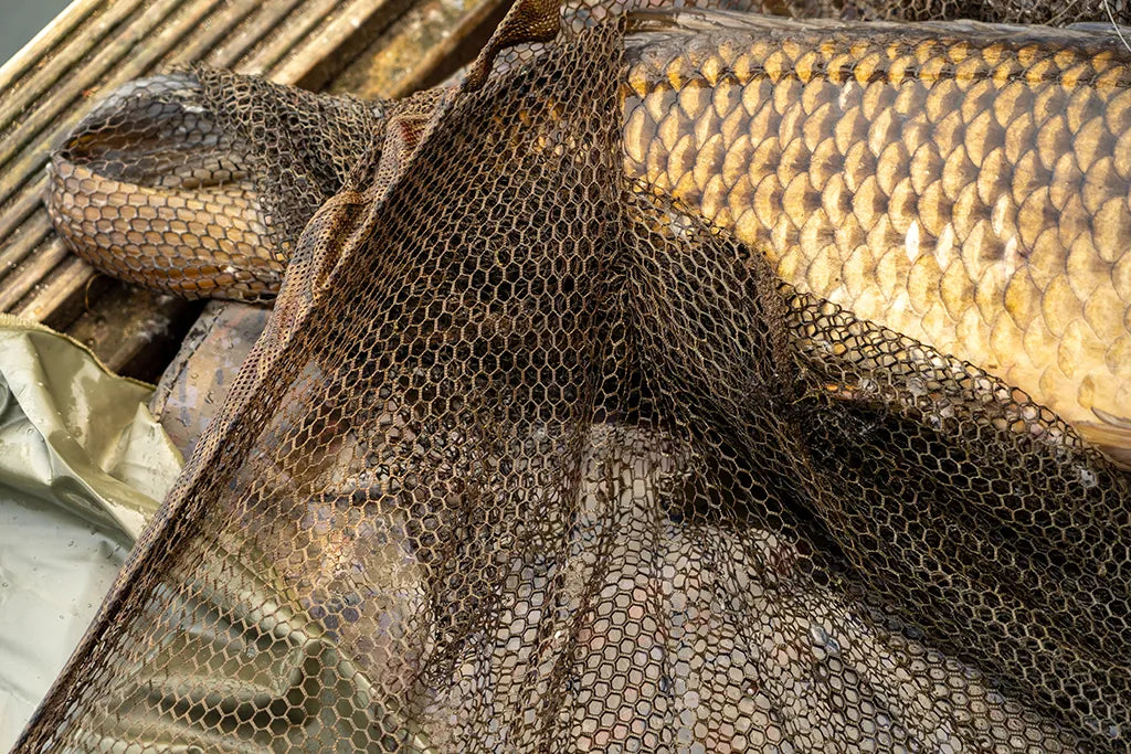 OMC Black Pearl: Landing Net 42" 2-piece Handle