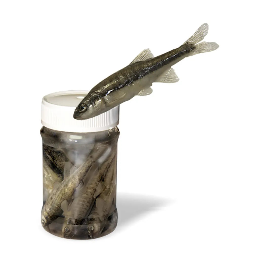 SUD Canned Vairons: 10 pcs.: 100 ml