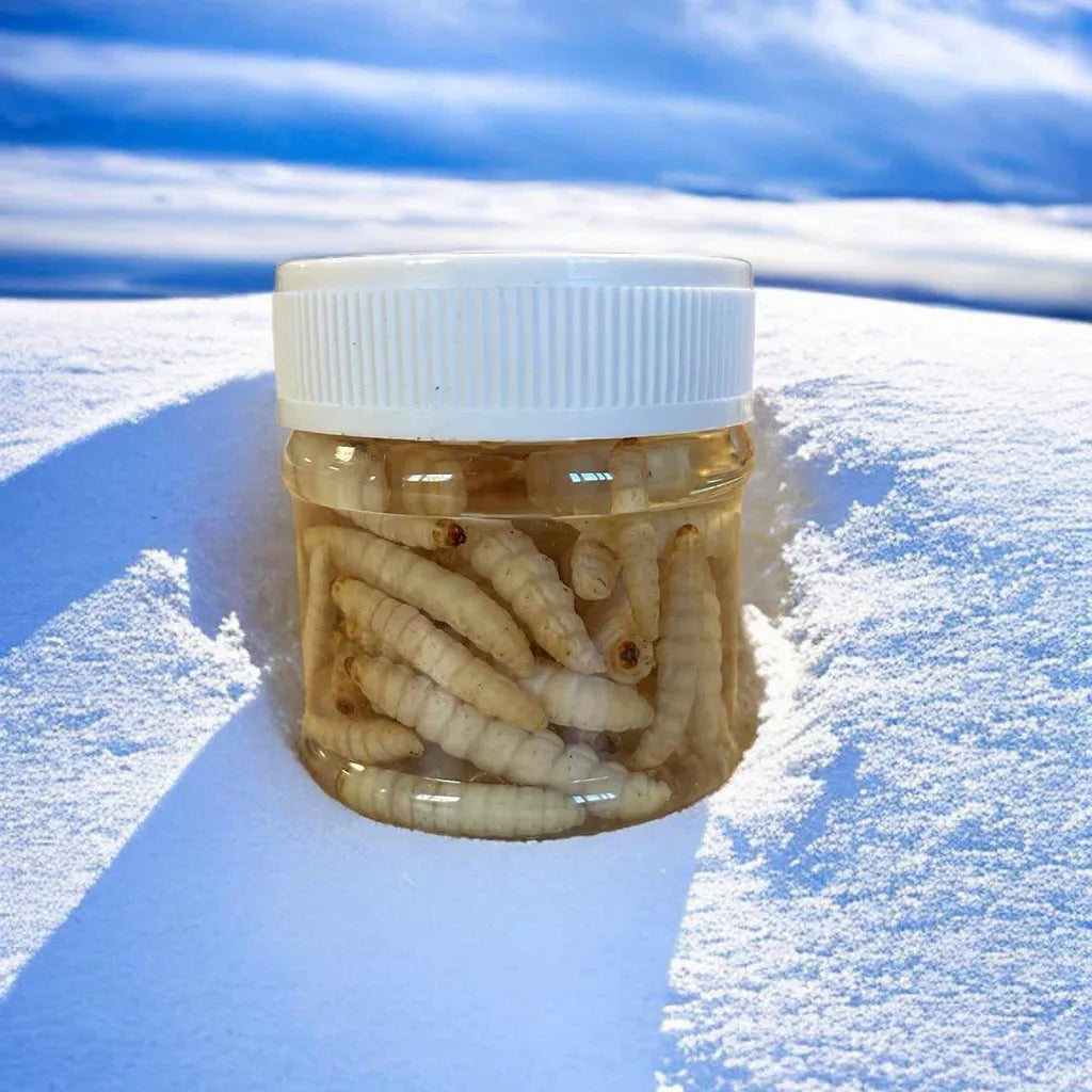 SUD Canned Wax Worms