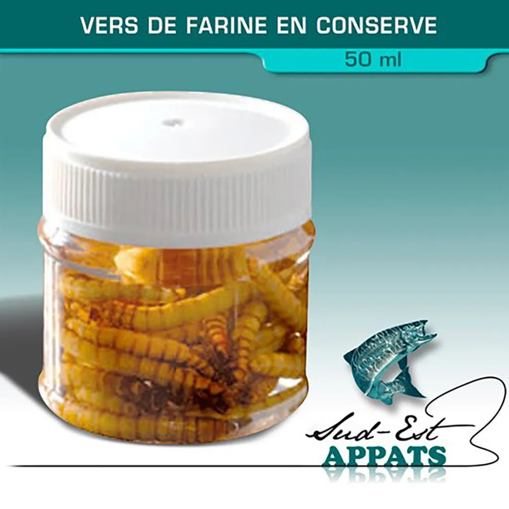 Canned Flour worms