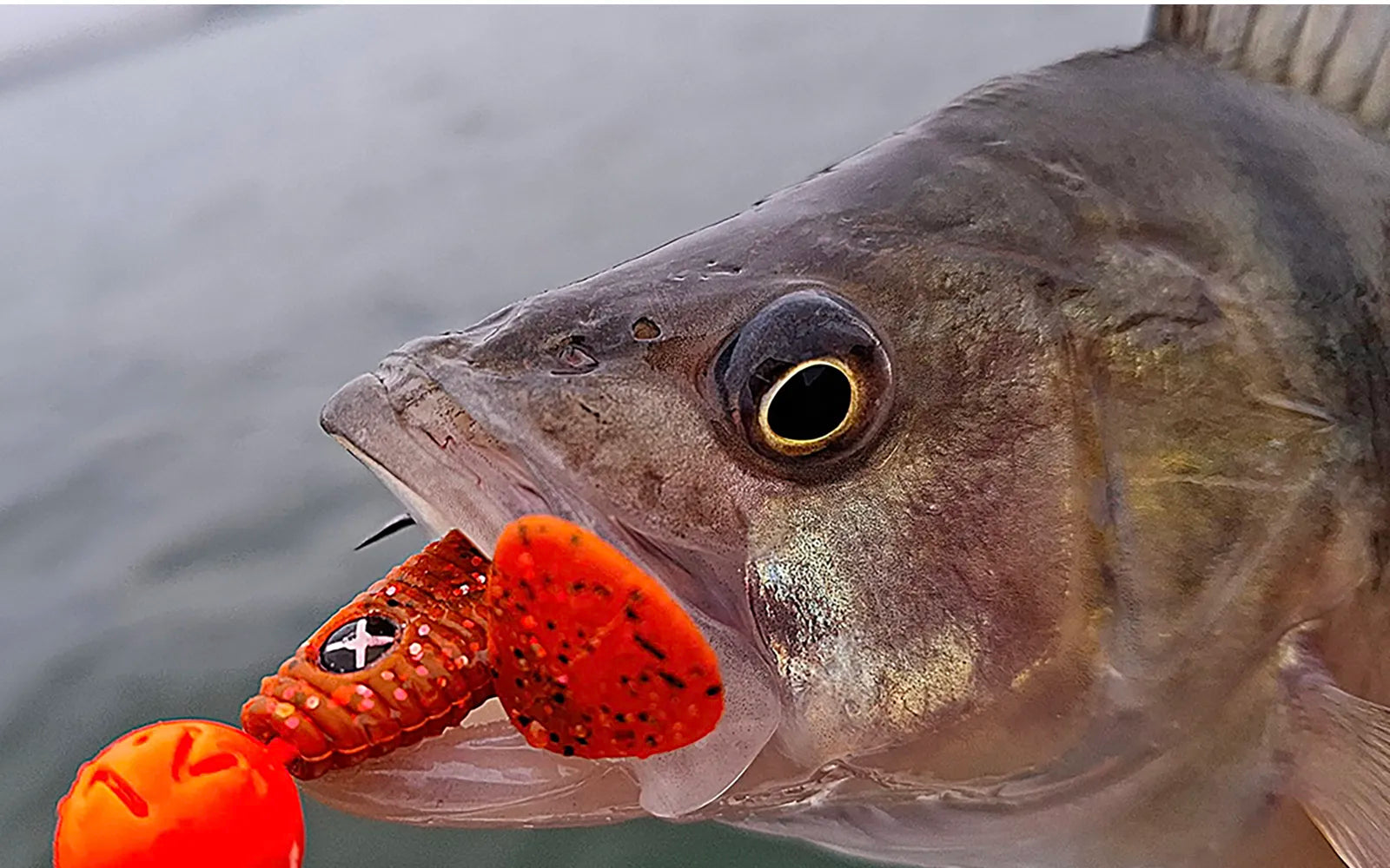 Spinning Fishing